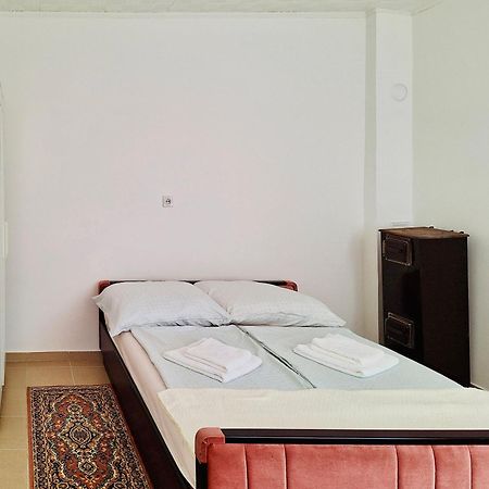 Apartman Radulovic Villa Negotin Dış mekan fotoğraf