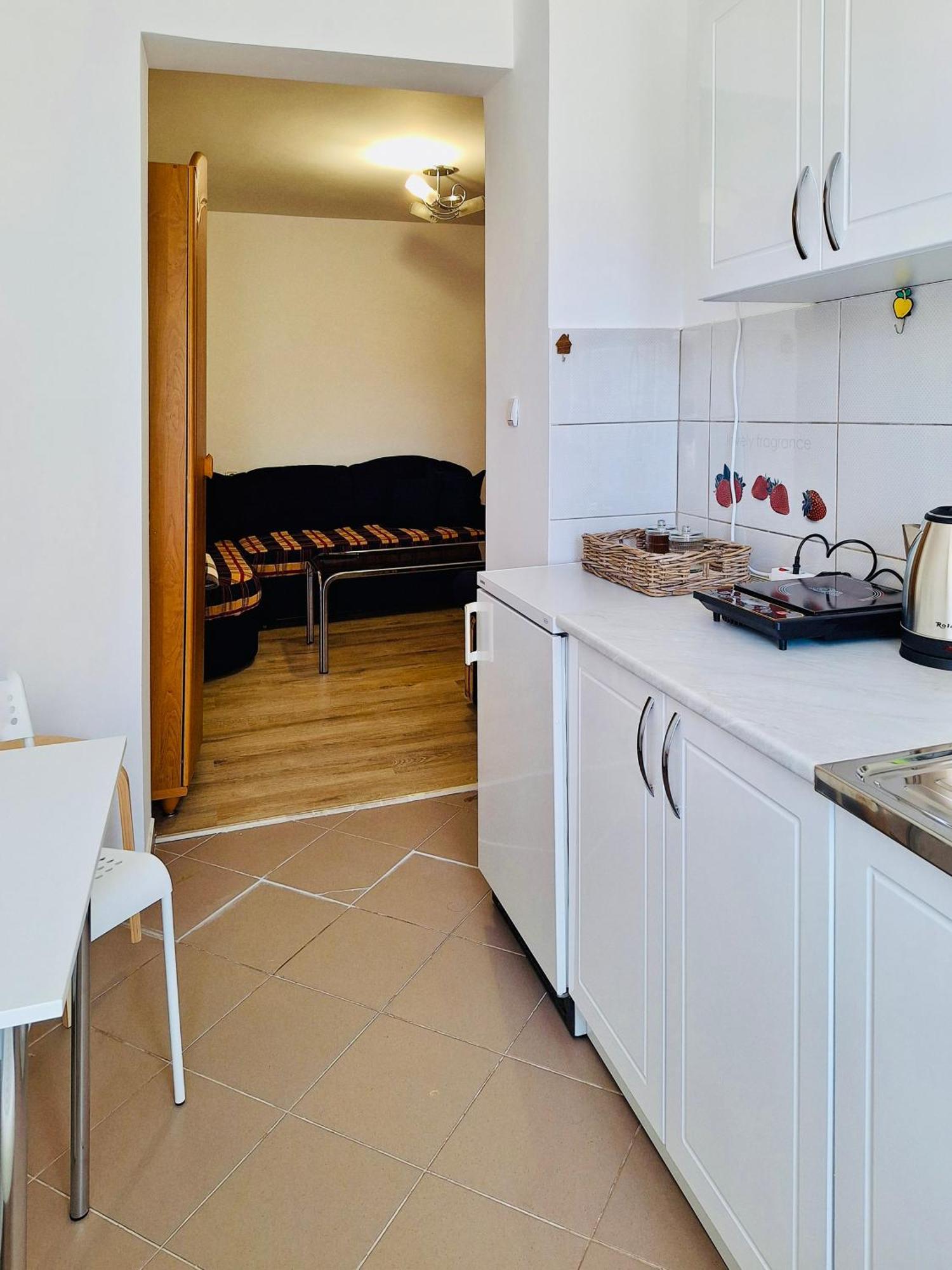 Apartman Radulovic Villa Negotin Dış mekan fotoğraf